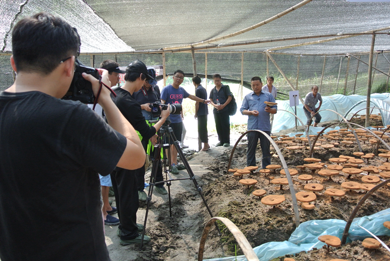 圖片2.png 圖片2.png