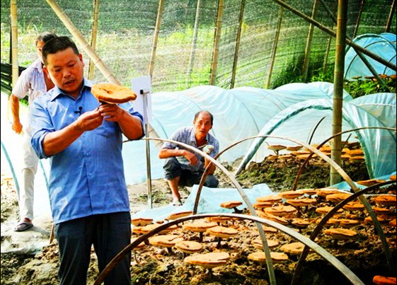 圖片3.png 圖片3.png