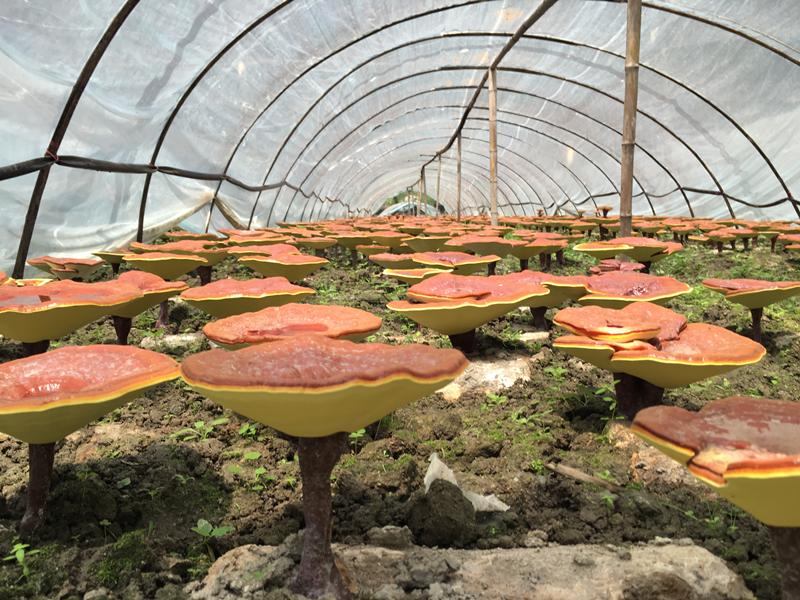 圖片2.png 圖片2.png